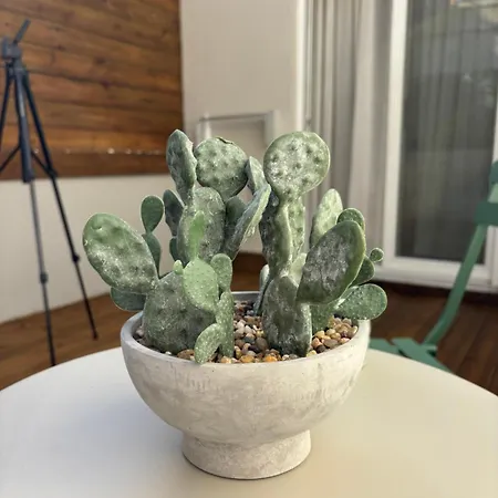 Thymeli Cozy Apartment